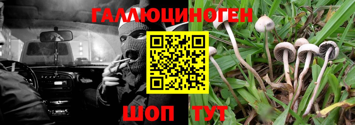 Псилоцибиновые грибы Psilocybine cubensis  Вход с VPN  Анапа 